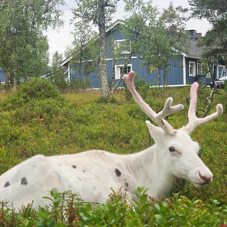 The White Reindeer *
